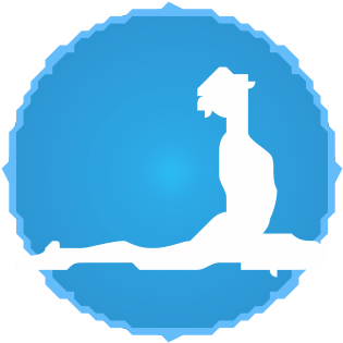 Karana Shareera - The Causal Body